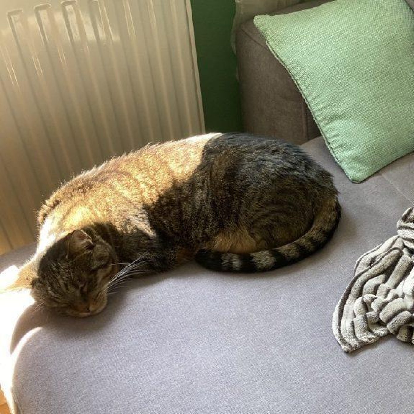 202110 bettina b mail noe