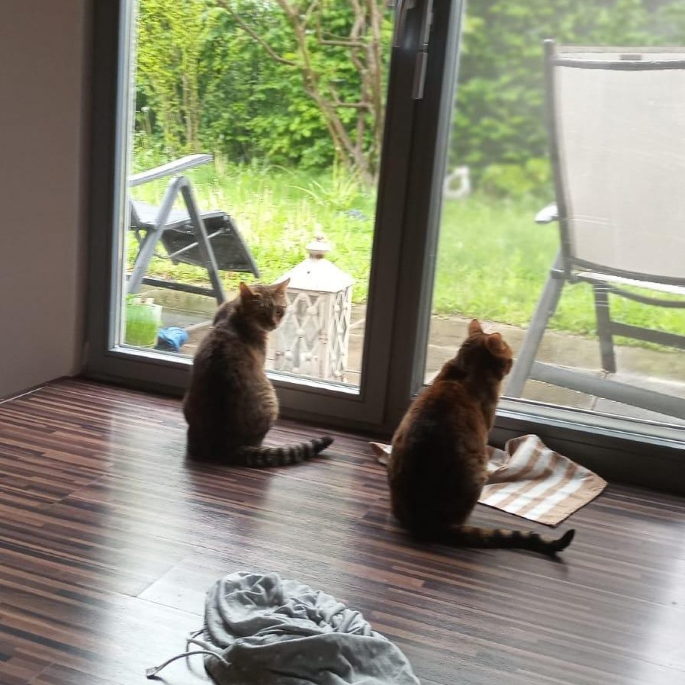 202105 kundenmeinung ingrid k