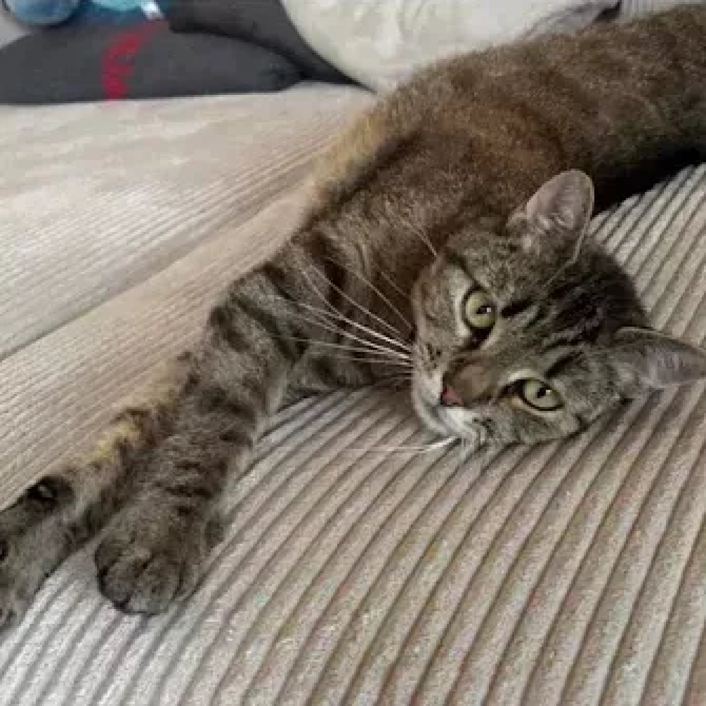 Kundenmeinung Natalie