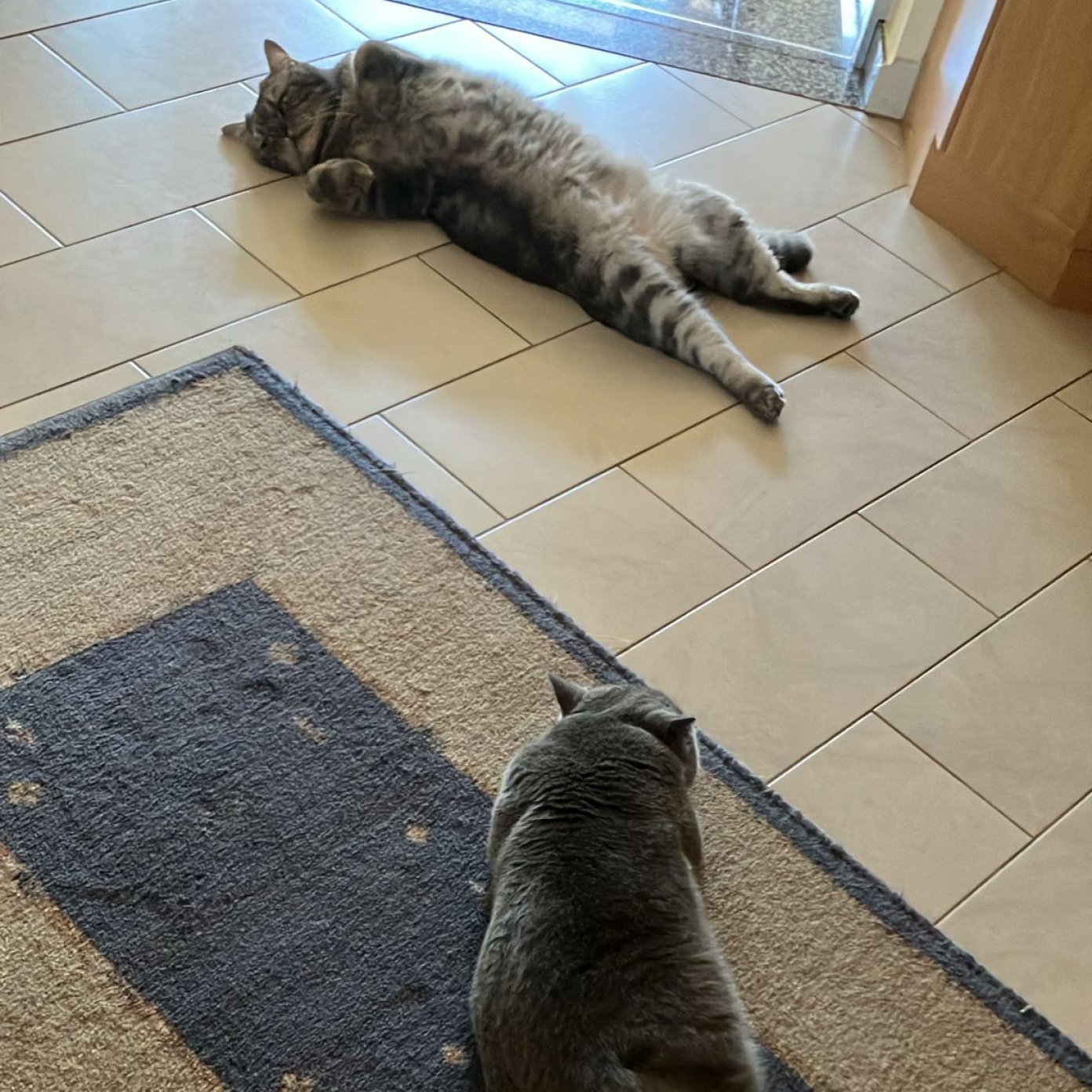 Kundenmeinung Nadine R.