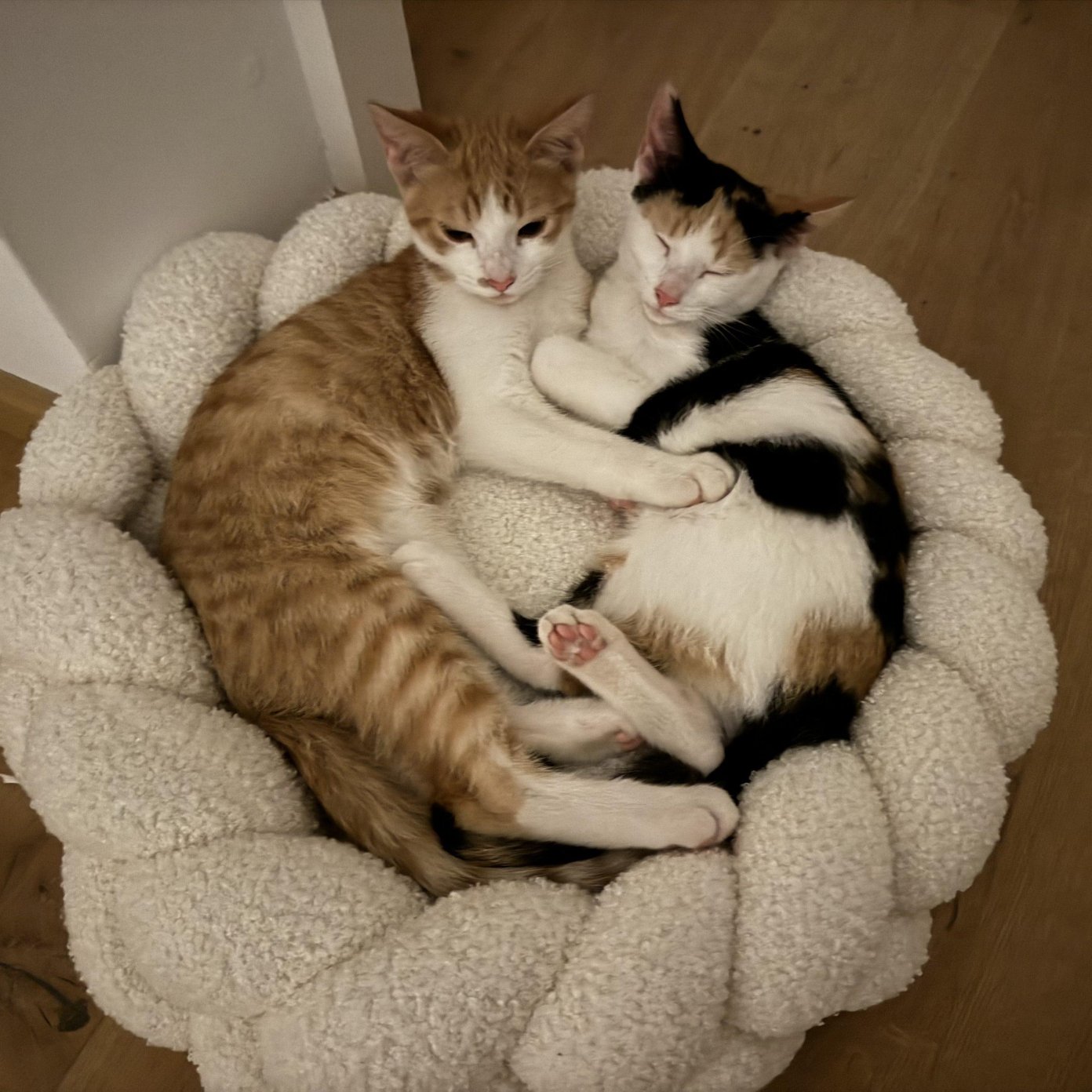 Kundenmeinung Mar Lene