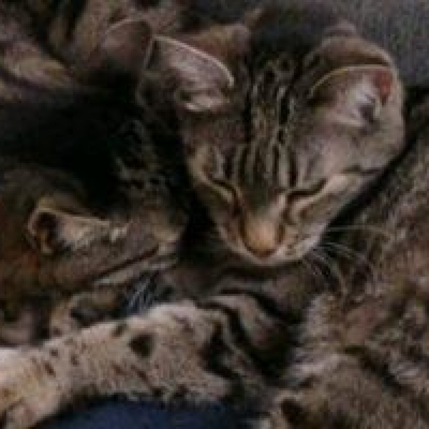 Kundenmeinung 20211025 heidemarie s mail wien