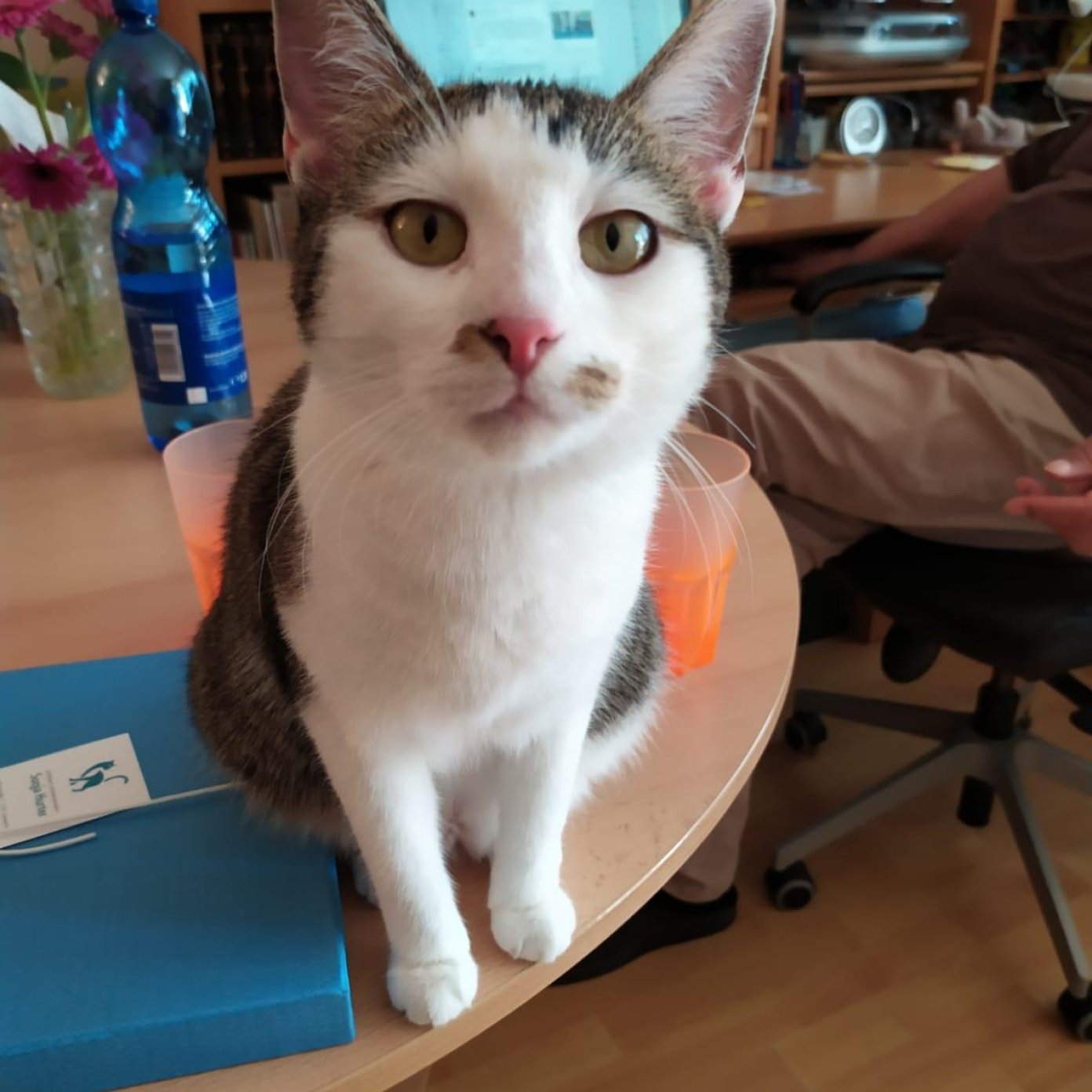 Kundenmeinung andrea l