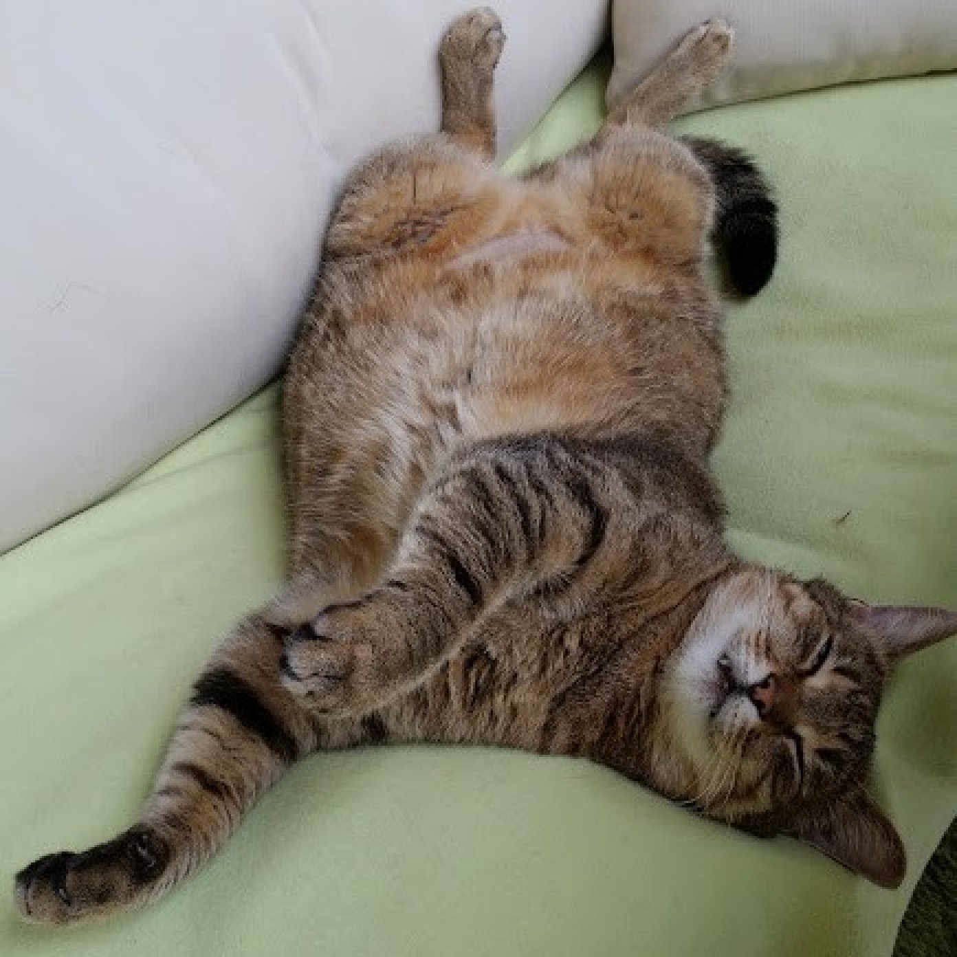 Kundenmeinung brigitte m