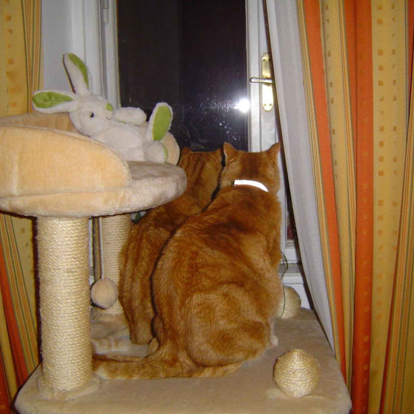 Kundenmeinung christina h