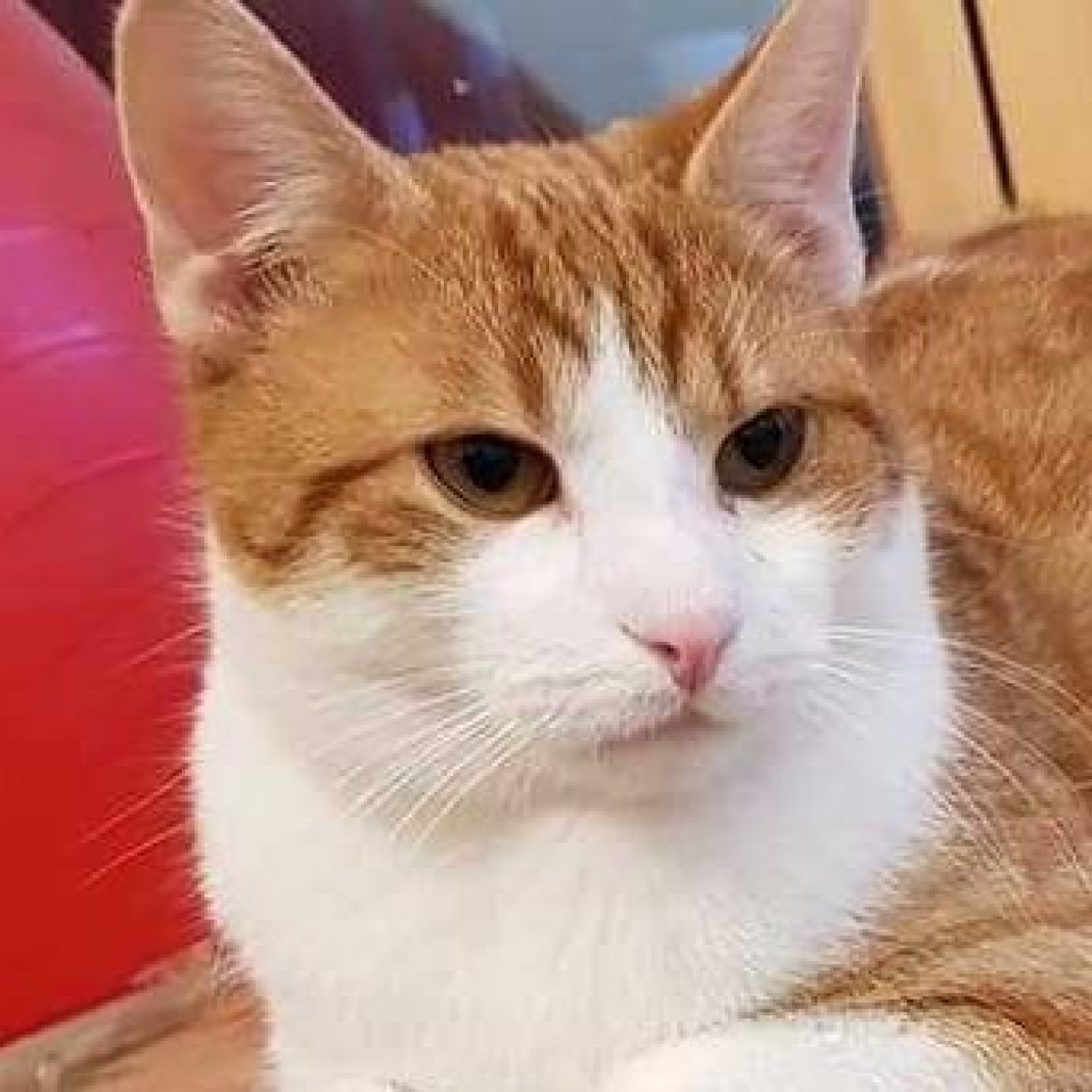 Kundenmeinung jeniffer l fb noe