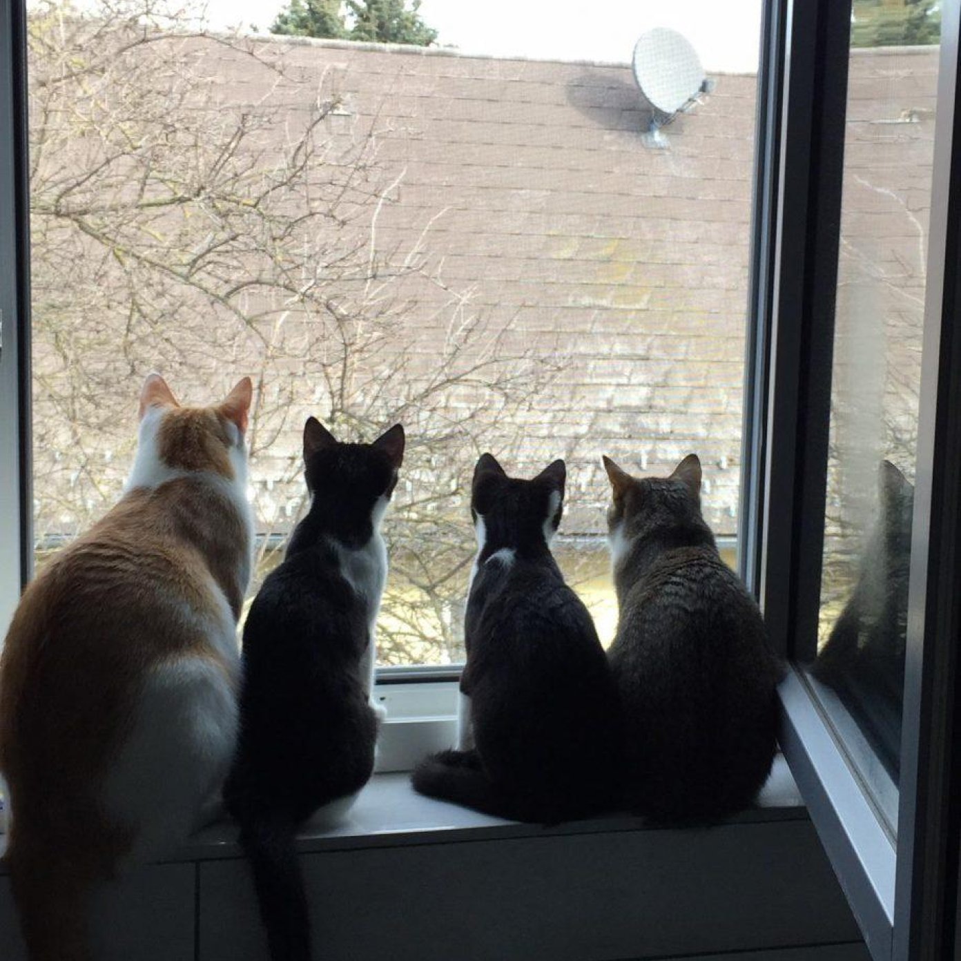 Kundenmeinung katharina k