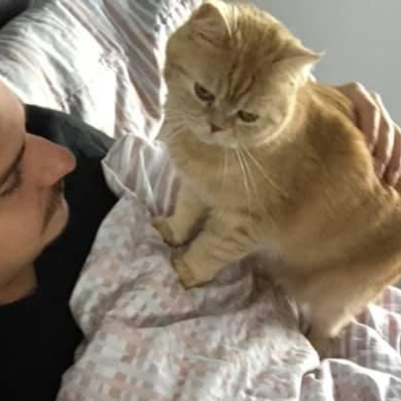 Kundenmeinung laura w fb noe