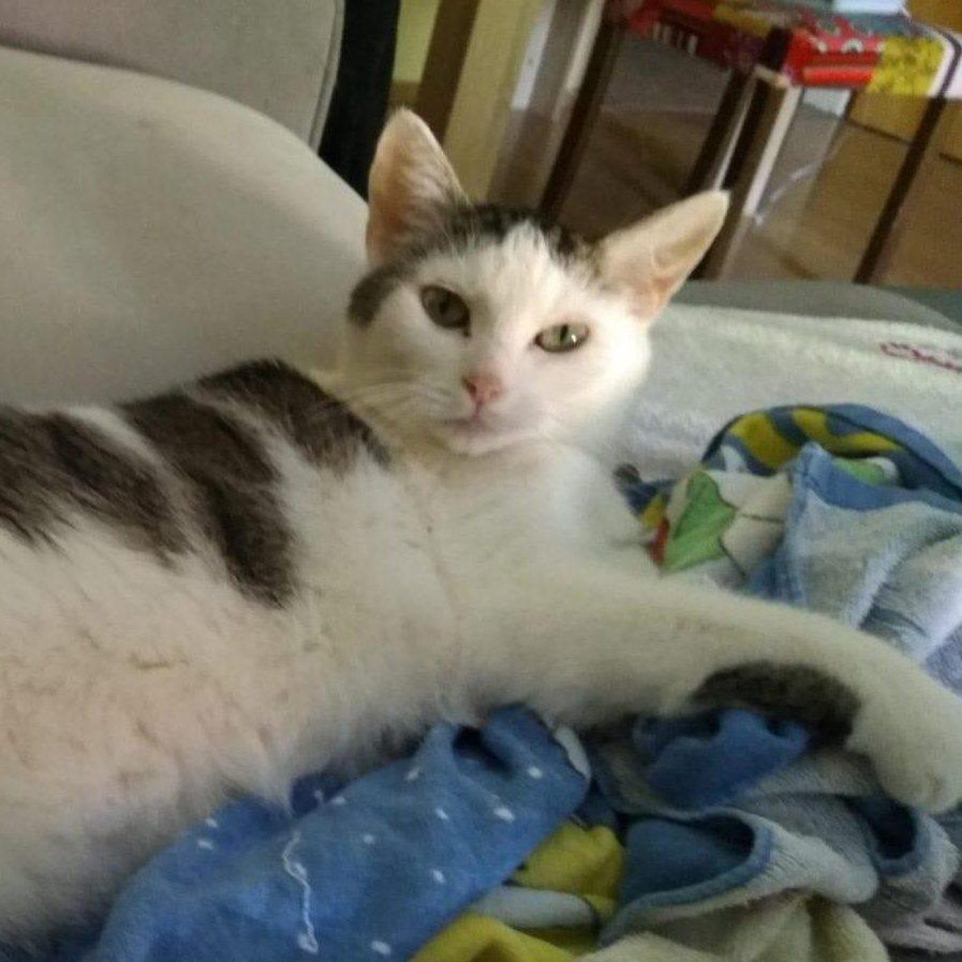 Kundenmeinung mariella s