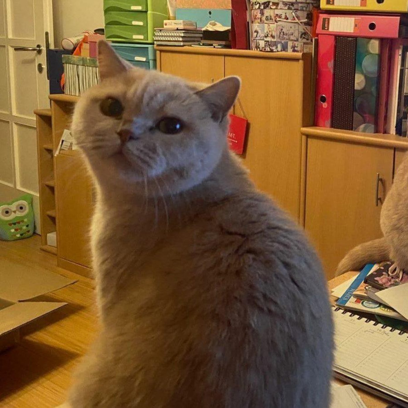 Kundenmeinuung 20211025 doris w herold wien